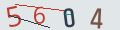 verifycode